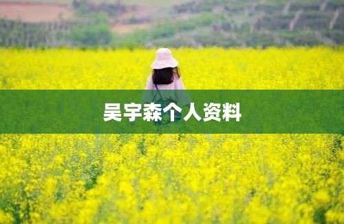 吴宇森个人资料