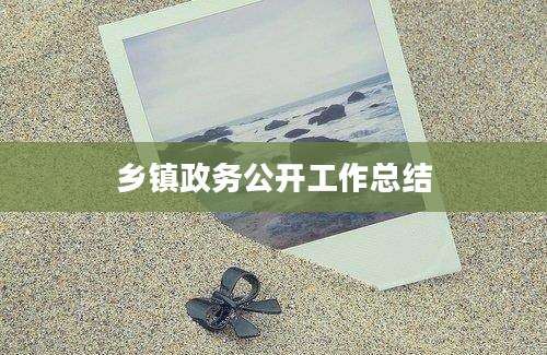 乡镇政务公开工作总结