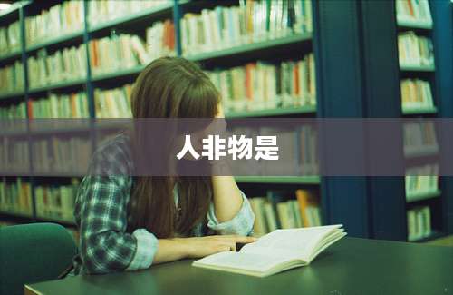 人非物是