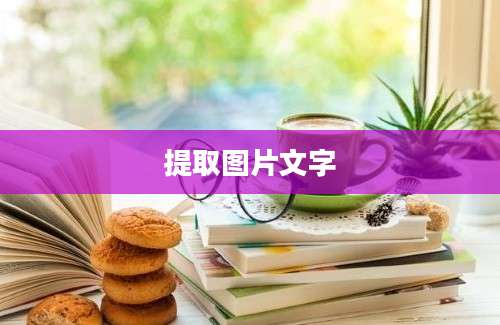 提取图片文字