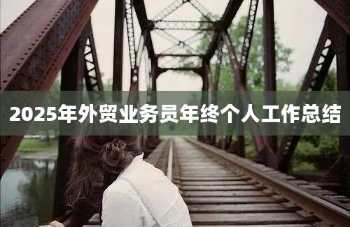2025年外贸业务员年终个人工作总结