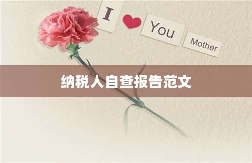 纳税人自查报告范文