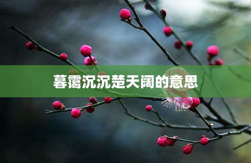 暮霭沉沉楚天阔的意思