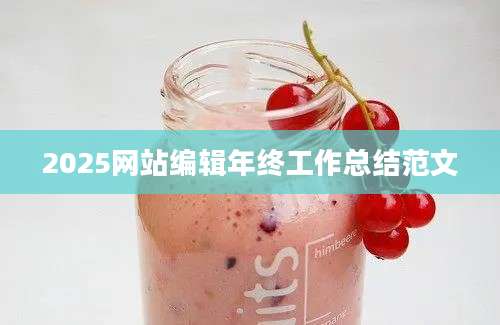 2025网站编辑年终工作总结范文