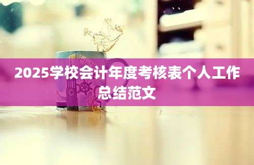 2025学校会计年度考核表个人工作总结范文