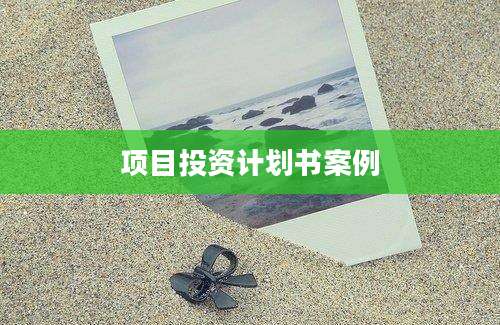 项目投资计划书案例