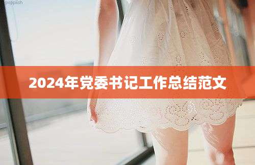 2024年党委书记工作总结范文