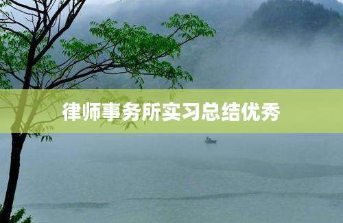 律师事务所实习总结优秀