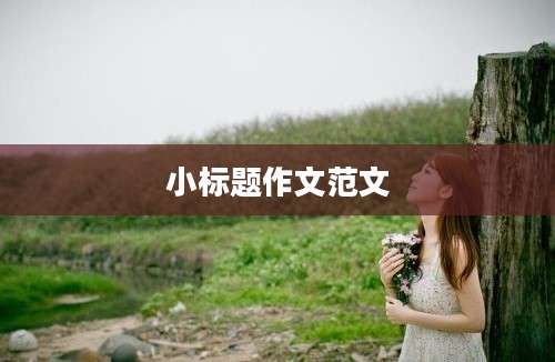小标题作文范文